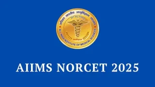 AIIMS NORCET 9 Nursing Officer Recruitment 2025 Common Eligibility Test